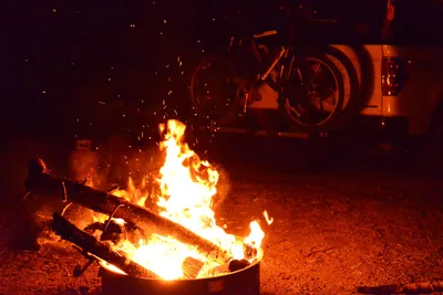 DSC_0143 (Large).JPG